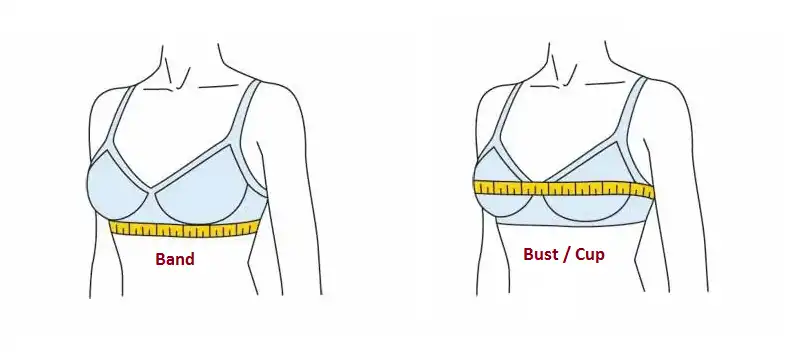 Bra Size Calculator | A Perfect Measurement Guide for Women
